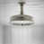 Polished Nickel