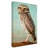 " Burrowing Owl "-31284833