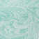 Cresley Paisley Indoor / Outdoor Rug