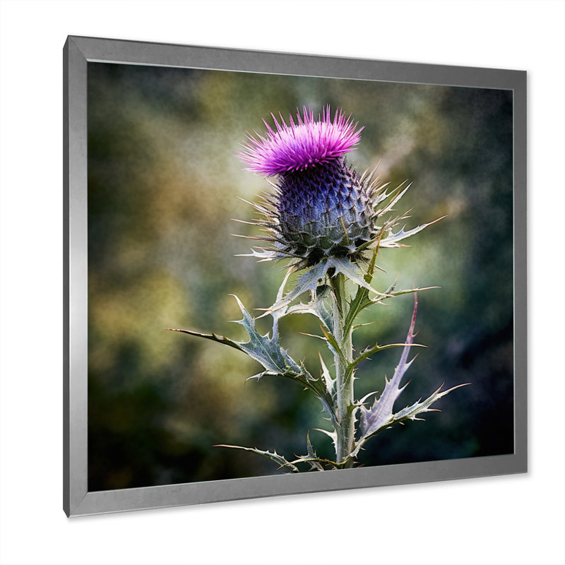 Mauve, vert, chardon, chuchotement, plante, V, H 36 po x l 36 po x P 1,5 po, Cadre photo argenté