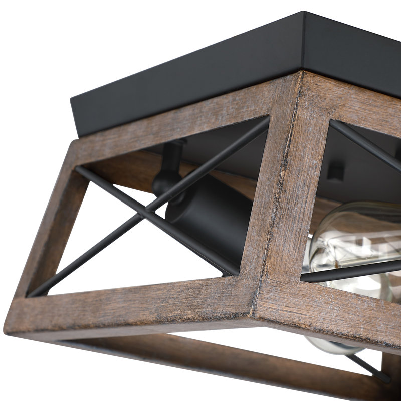 Plafonnier encastré moderne à 2 lumières avec cage à intensité variable, Brown