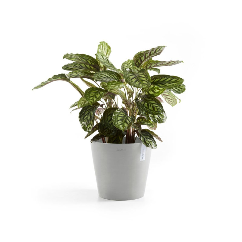 Jardinières en pot, H 10 po x l 10 po x P 9,65 po, Blanc gris