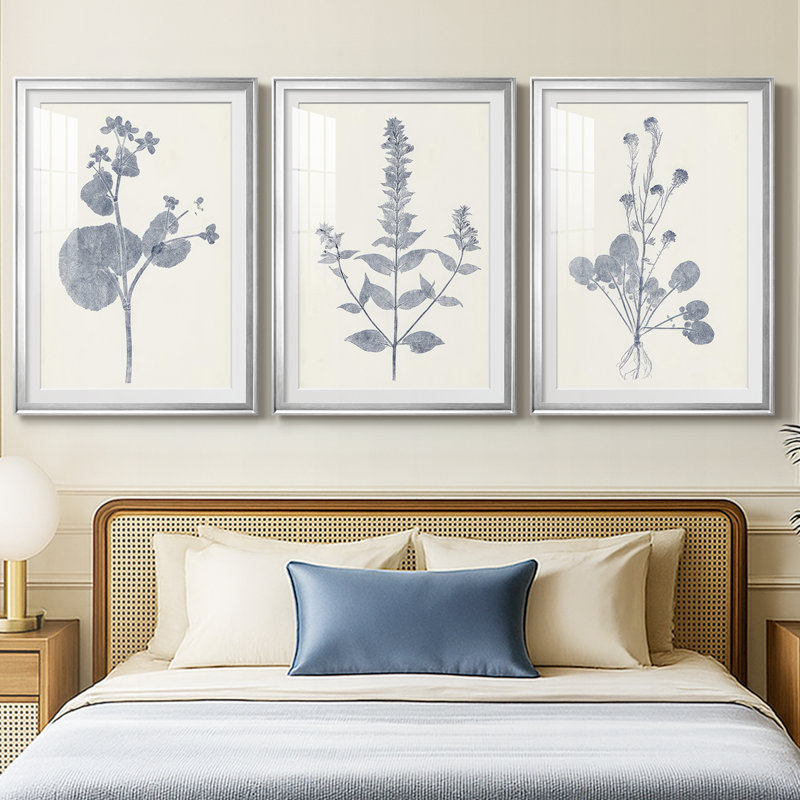 Marine Botanicals VI - reproduction sur mesure encadrée de qualité supérieure - 3 pièces, H 27 po x l 39 po, Argent argent