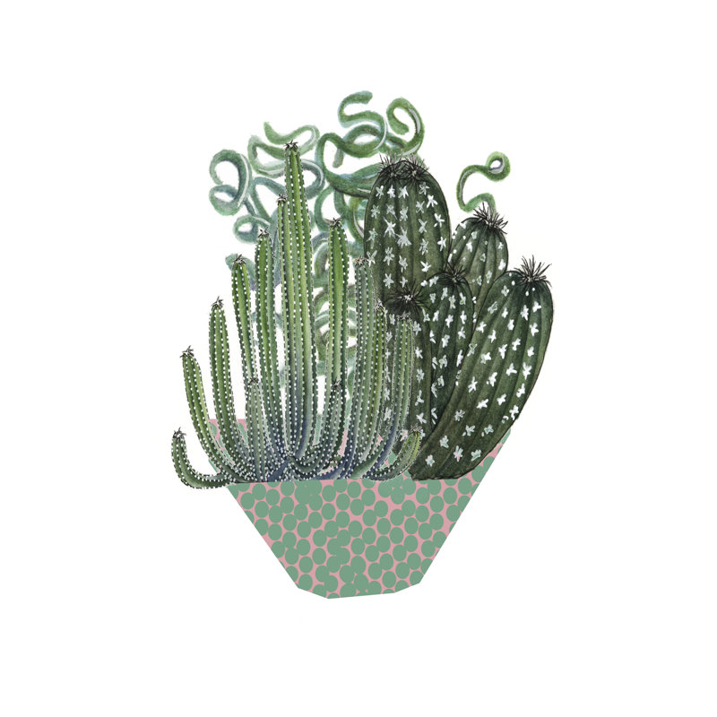 Arrangement de cactus II, H 30 po x l 20 po x P 1,25 po