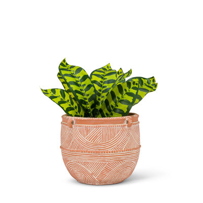 Cache-pot en béton
