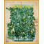 Green Leaves Print by Paule Marrot-1390795977-1390795982