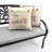 16" x 16" Outdoor Throw Pillow with Welt-1600686410