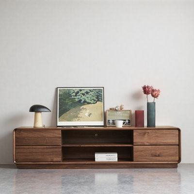 Modern Minimalist TV Cabinet