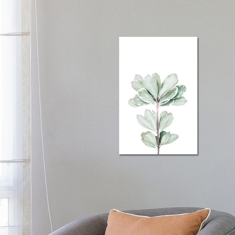 Botanical II by Sisi & Seb - Wrapped Canvas Gallery-Wrapped Canvas Giclée, 66.04cm H x 45.72cm W