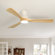 https://assets.wfcdn.com/im/12070446/scale-w55%5Ecompr-r85/3090/309016827/White+with+Oak+Blades.jpg
