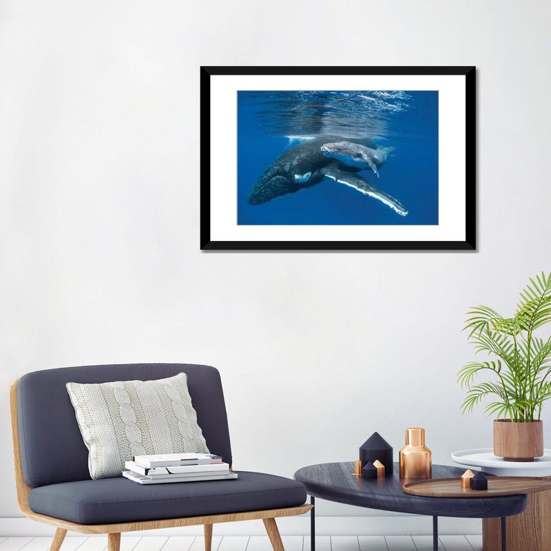 Impression d'une baleine à bosse avec un vieux veau de quatre jours, impression sur toile tendue, H 16 po x l 24 po x P 1 po