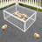 Iron Cage With One-Way Entry For Pigeon