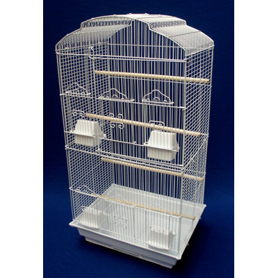 Cage à oiseau pour petits coquillages