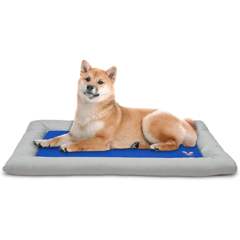 Lit orthopédique en nylon pour animaux, Grand (l 40 po x P 26 po x H 1 po)