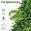 Arbres de noël