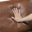 Ussery 54" Modern Loveseat with Faux Leather, Pocket Coils, Faux Wood Feet-105864614
