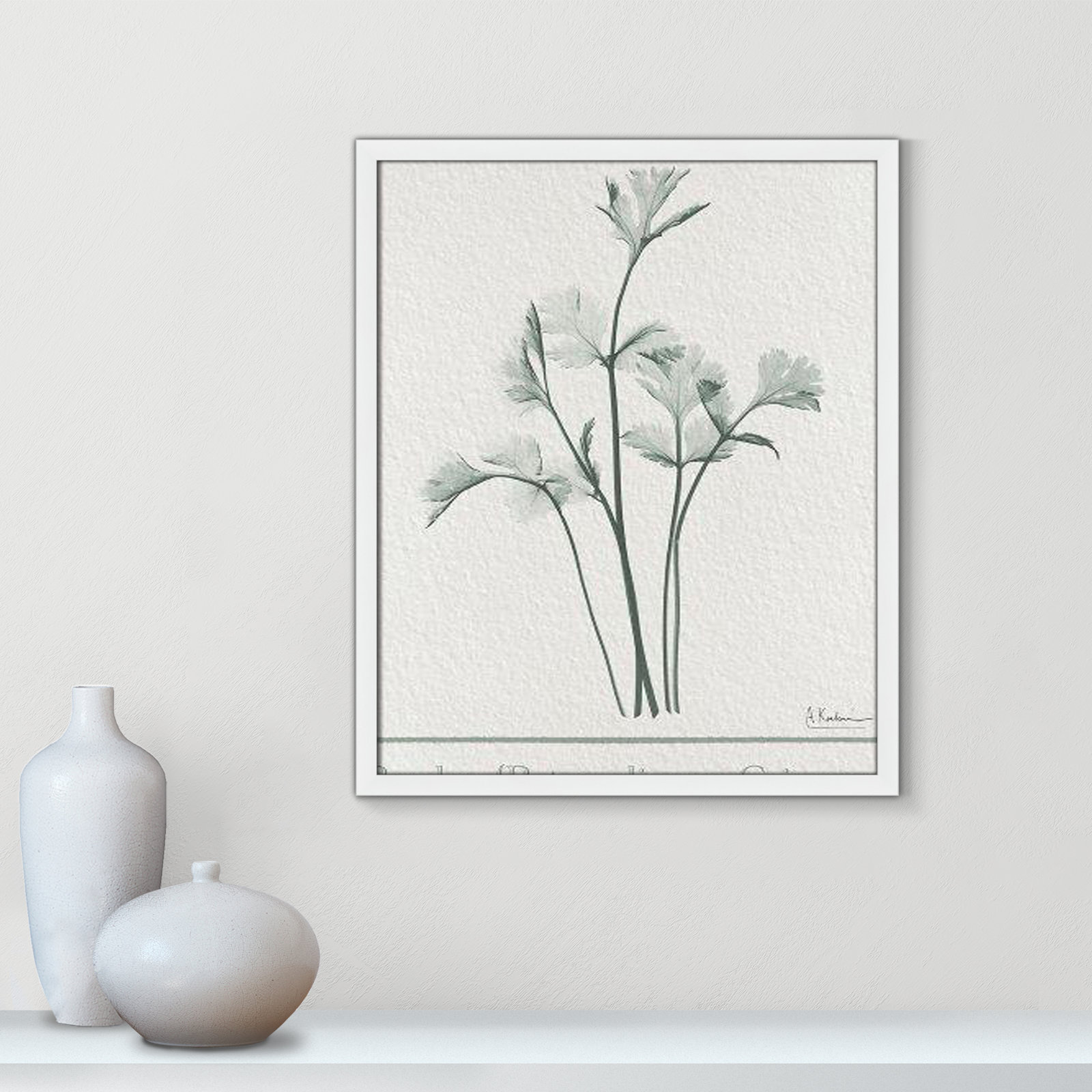 Jeanette "Parsley II" Print by Albert Koetsier, 25.5" H x 21.5" W x 1.25" D, Satin White Framed Paper