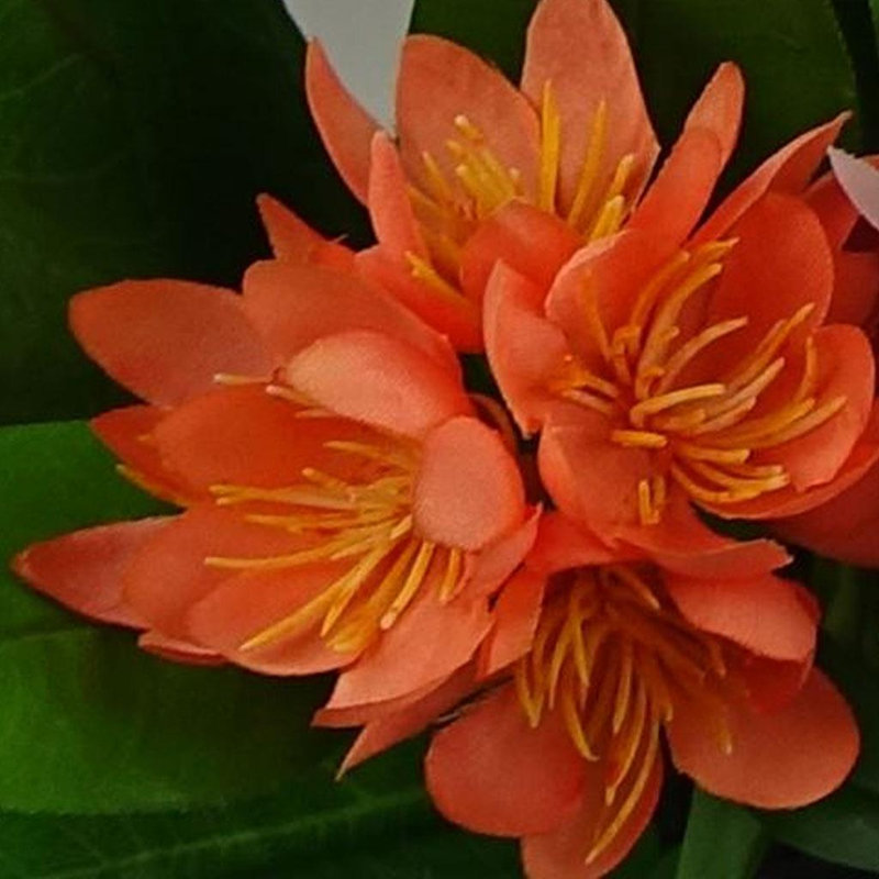 Plastic, Silk Freesia Arrangement in Pot, Orange