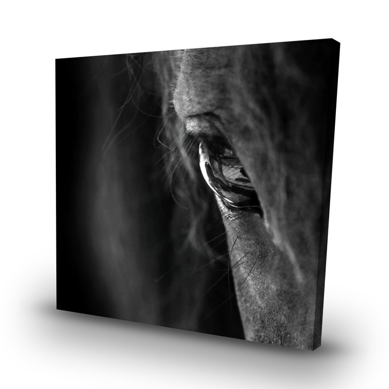 horse - 32"x32" art on canvas