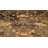 Alameda Geometric Indoor Rug-1820922732
