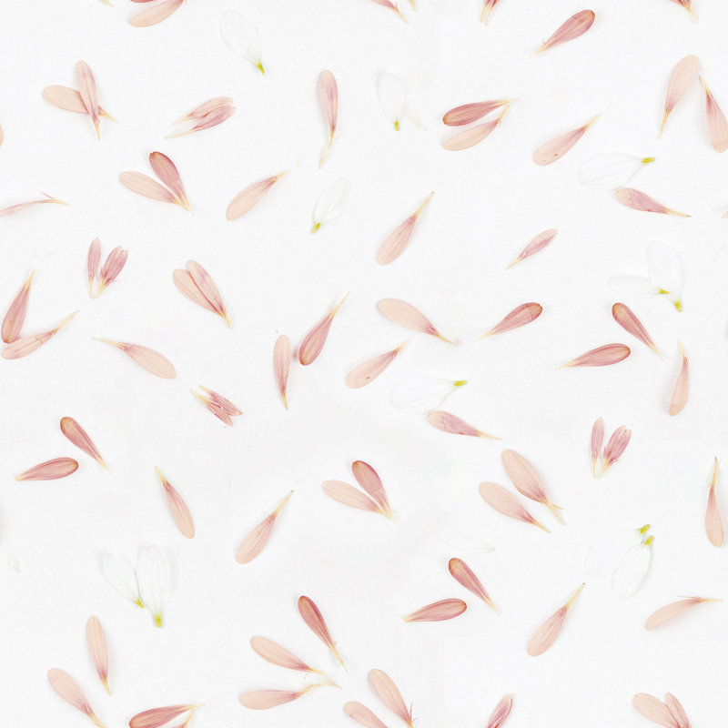 Irlan Peel & Stick Floral Tile, 48" L x 24" W
