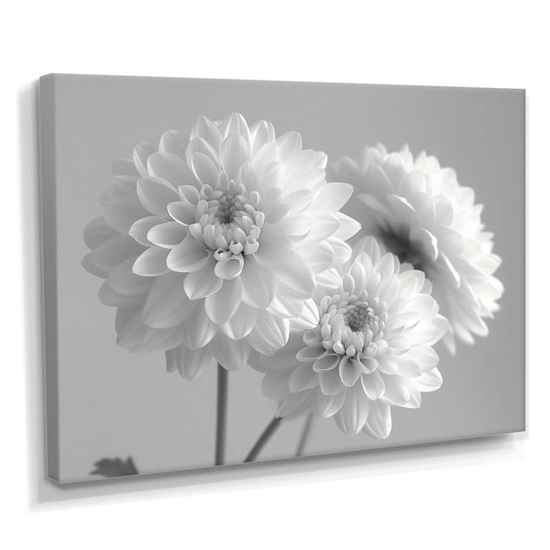 Monochromes blanc noir maman botanique beauté II - décoration murale mamans, Toile tendue, H 30 po x l 40 po