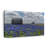 " Texas Bluebonnets Canvas Print "-92519705