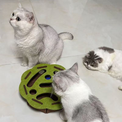 Jouet pour chat labyrinthe en feutre vert avec housse amovible et ballon interactif - Centre d'activité durable, lavable et enrichissant pour chats d'intérieur - Conception d'enrichissement moderne