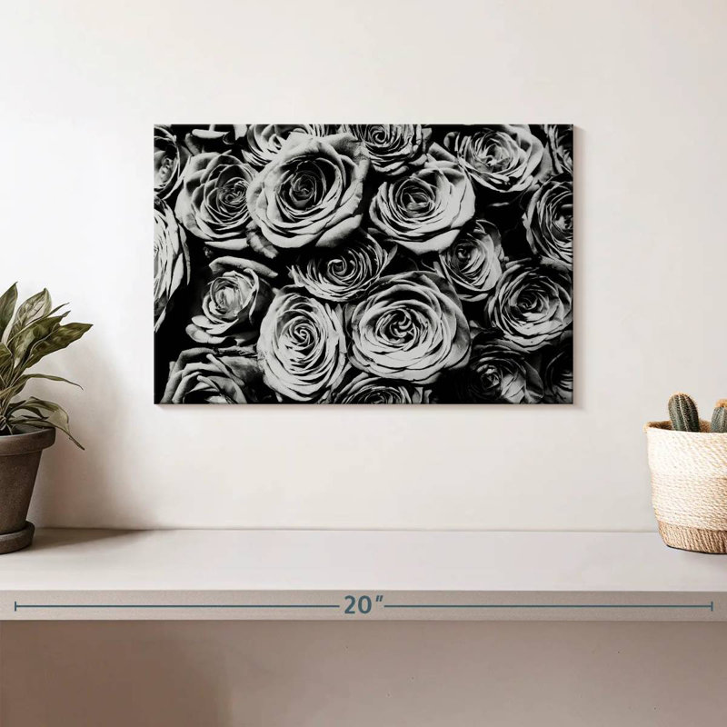 Roses monochromes Harnek, H 8 po x l 12 po