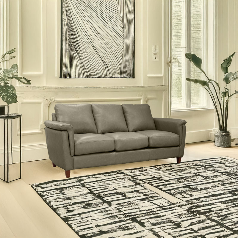 Canapé en cuir véritable 79 po Rambrij, Gris
