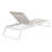 Genelda Outdoor Chaise Lounge-662400243