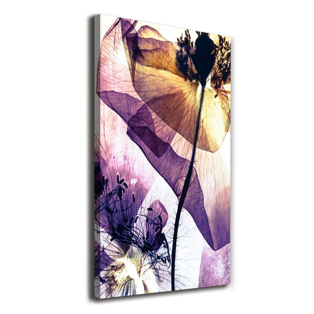 Maki - Kunstdrucke auf Leinwand - Wrapped Canvas