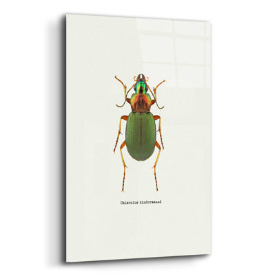 «Beetle Green» par Graphinc - impression non encadrée