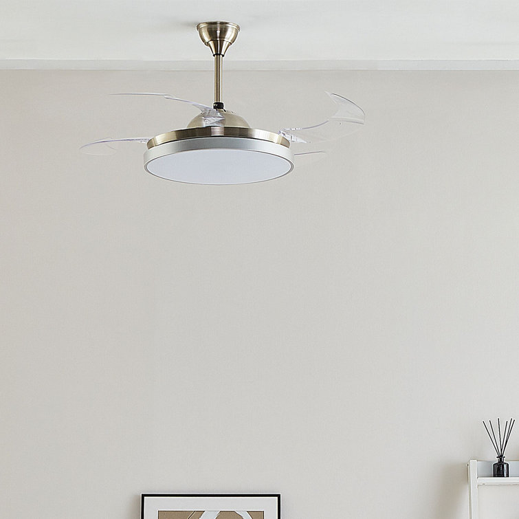 Botelho Ceiling Fan with Light Kit