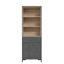Amettes 180.7cm H x 63.2cm W Standard Bookcase