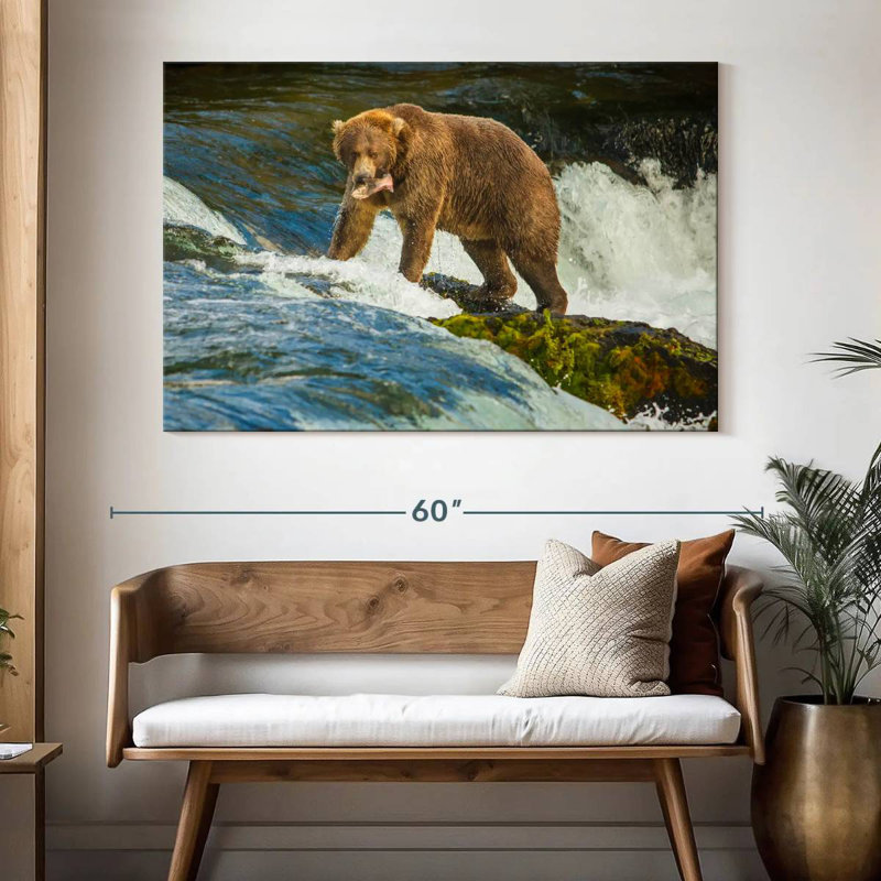 Brampt Fearless Grizzly Bear
