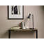 Cauley Metal Desk Lamp