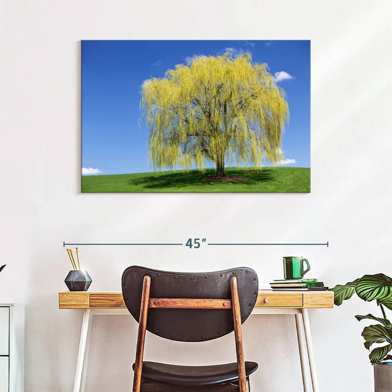 Harnek Spring Weeping Willow, 26" H x 39" W
