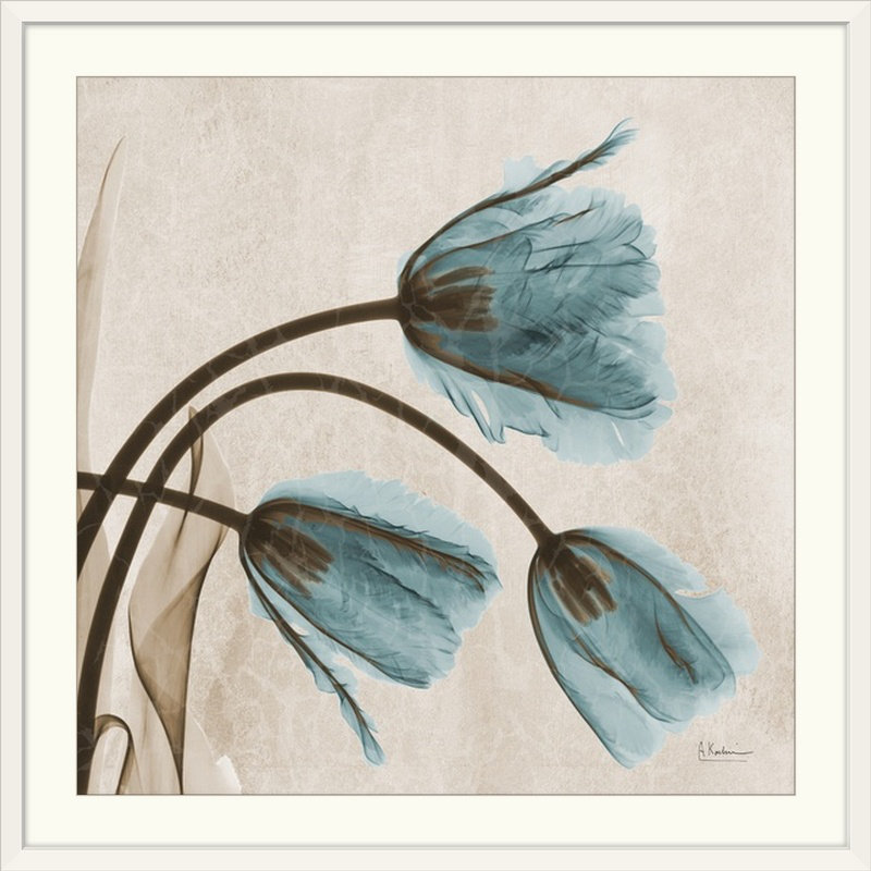 "Manigault" Tulip X-Ray par Kiranjit, reproduction de photo, H 24 po x l 24 po x P 1 po, Cadre blanc