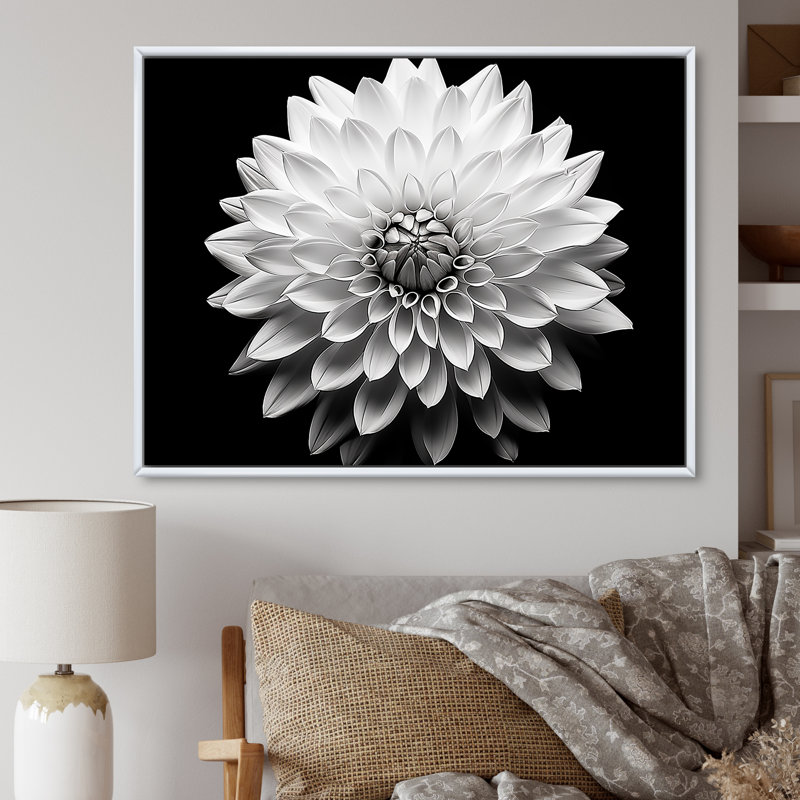 Dahlia en noir et blanc - impressions encadrées, L 40 po x H 30 po x P 1,5 po, Cadre flottant blanc
