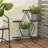 Metal Plant Stand