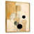 Gold Floater Framed