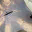 Photos des clients 4 de 6