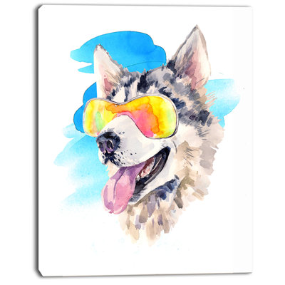 " Siberian Husky Dog In Sunglasses "