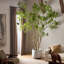 Faux Pieris Tree-Faux Pieris Tree-9.5'-333567023