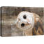 «Bird Bird Curious Owl Look» (Tyto Albahead), tête en gros plan sur toile-119598468-93629223-93629227
