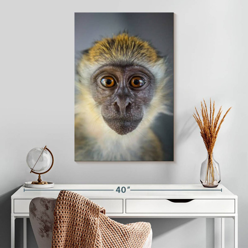 Brampt Vervet Monkey, 30" H x 20" W