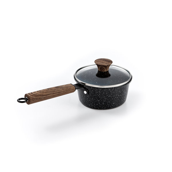 https://assets.wfcdn.com/im/12076544/resize-h600-w600%5Ecompr-r85/1961/196109663/Non-Stick+Carbon+Steel+Saucepan.jpg