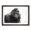 A Silverback Gorilla in Abstract - Framed Print-55629236-55629242