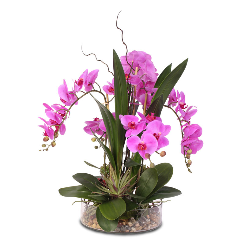 Real Touch Phalaenopsis Orchid with Succulents Floral Arrangement in Pot